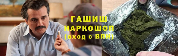 шишки Медвежьегорск