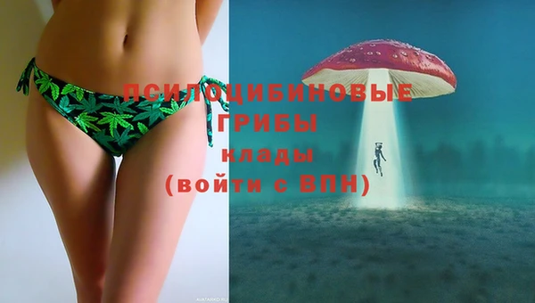 прущие грибы Арсеньев