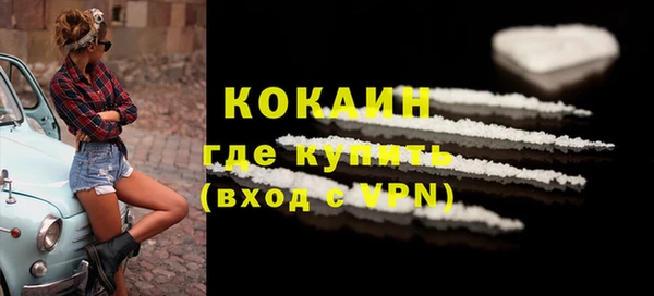 шишки Медвежьегорск
