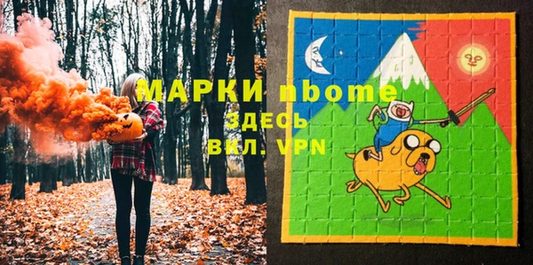 шишки Медвежьегорск